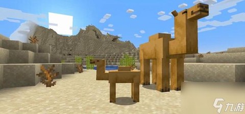 我的世界怎么骑骆驼[图1]