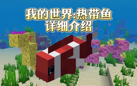 我的世界鱼有什么用[图2]