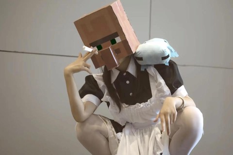 我的世界怎么有女仆[图2]
