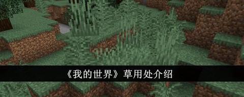 我的世界草有什么用[图1]