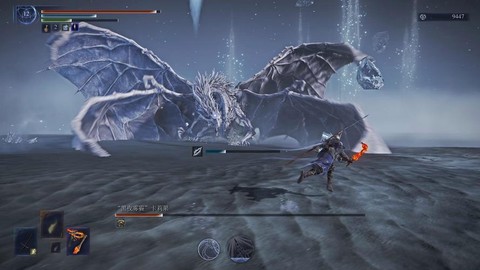 黑暗之魂3冰龙掉什么[图2]